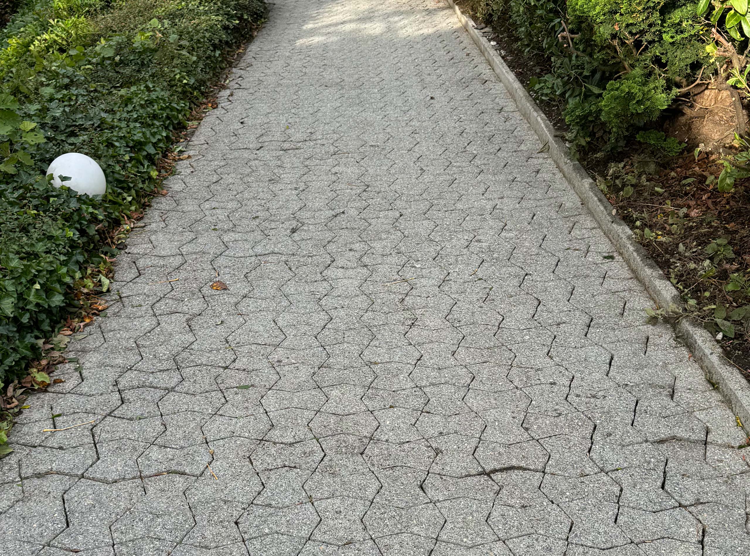 Before image